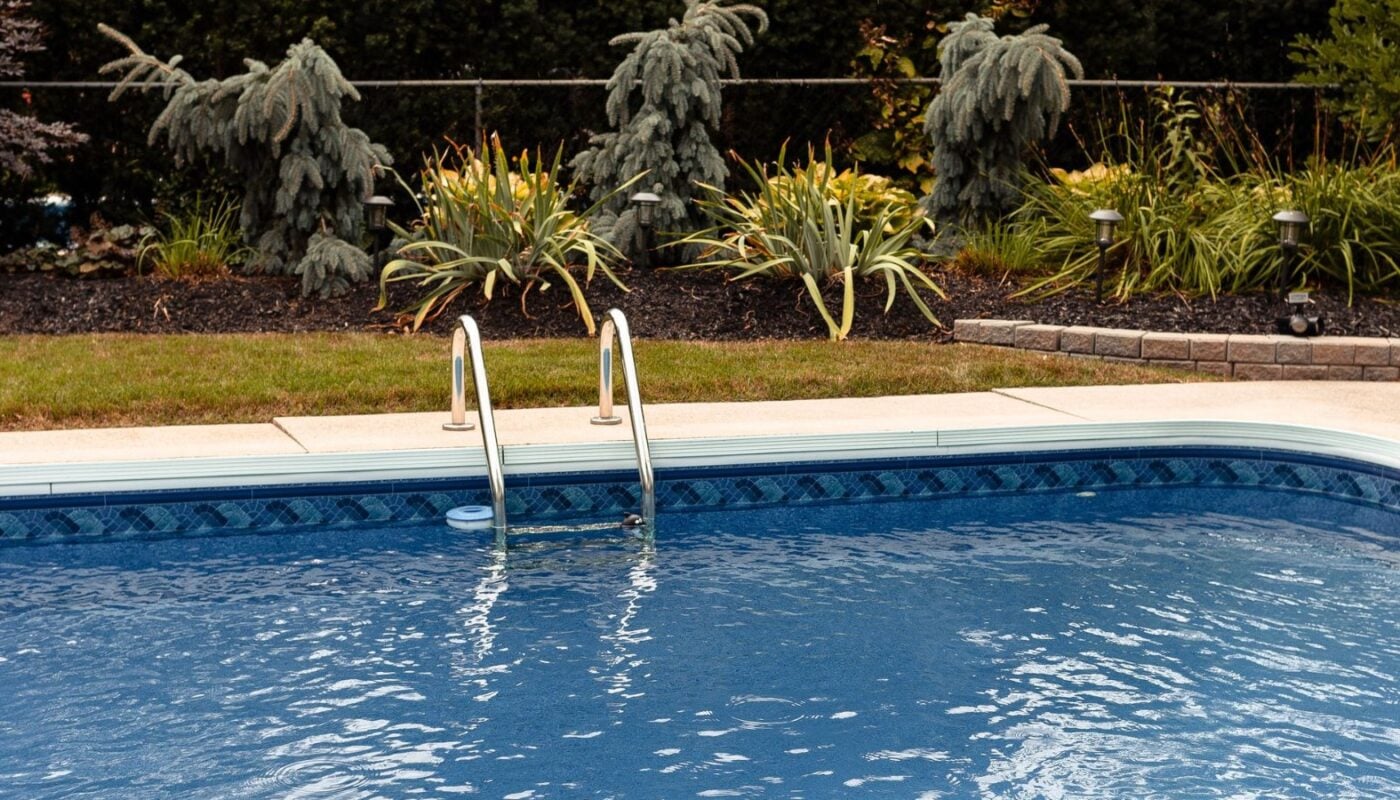 An empty backyard swimming pool with a metal ladder, bordered by planted beds