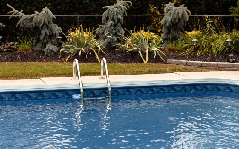 An empty backyard swimming pool with a metal ladder, bordered by planted beds