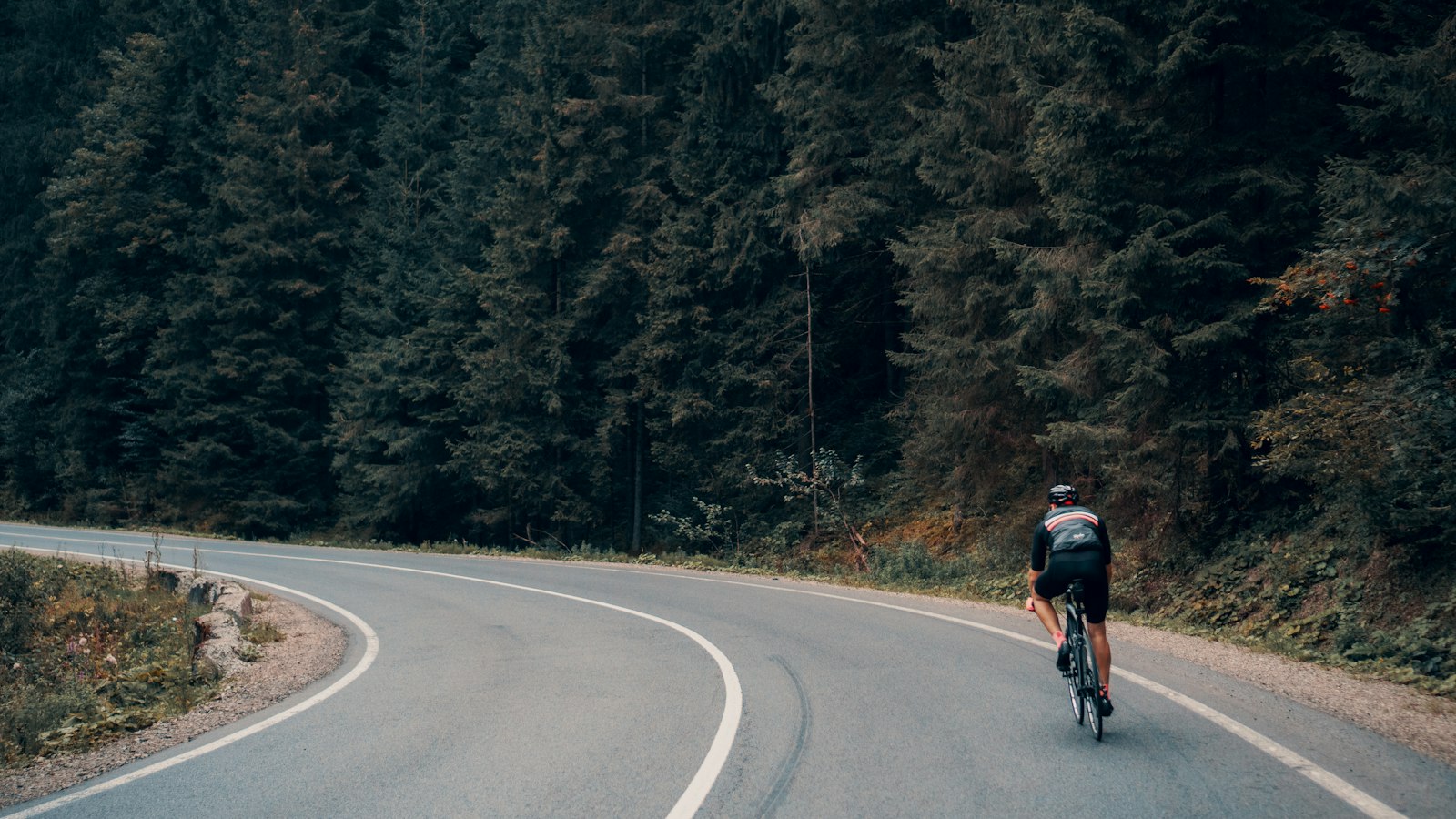 Cyclist riding a winding road through a forest (photo: Viktor Bystrov / Unsplash)