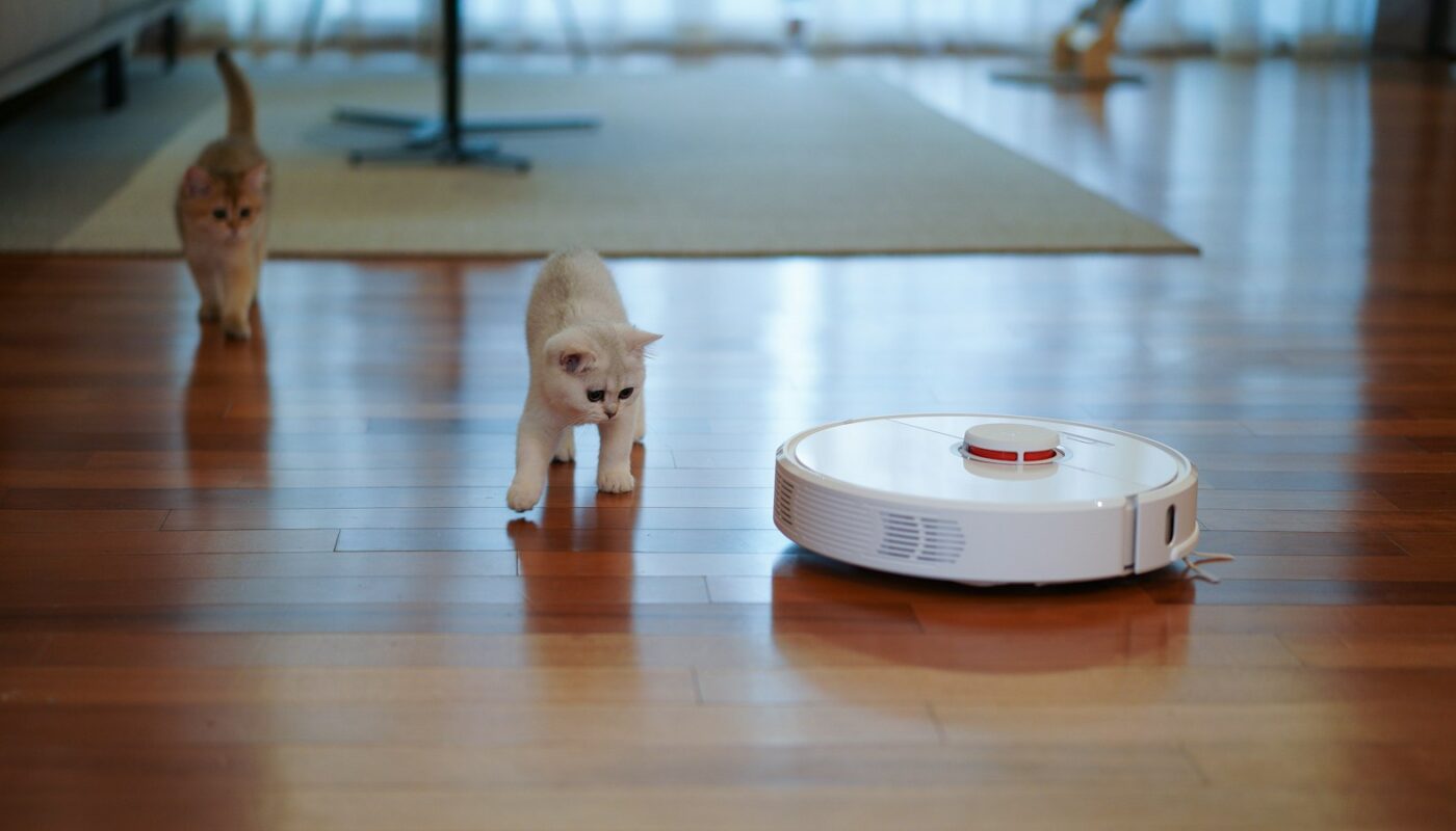Robot vacuum on a wooden floor with two cats nearby (photo: YoonJae Baik / Unsplash)