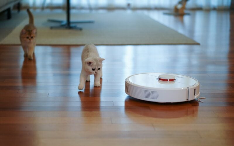 Robot vacuum on a wooden floor with two cats nearby (photo: YoonJae Baik / Unsplash)