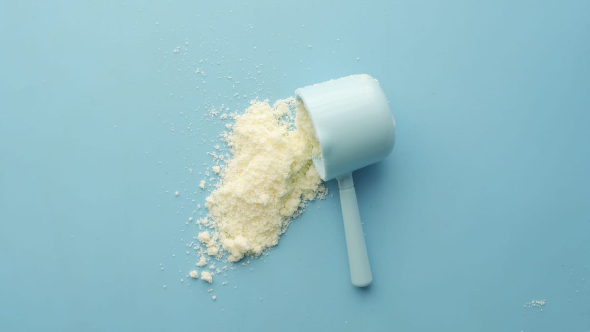 Momentous Creatine Monohydrate Review: Still the One to Beat?