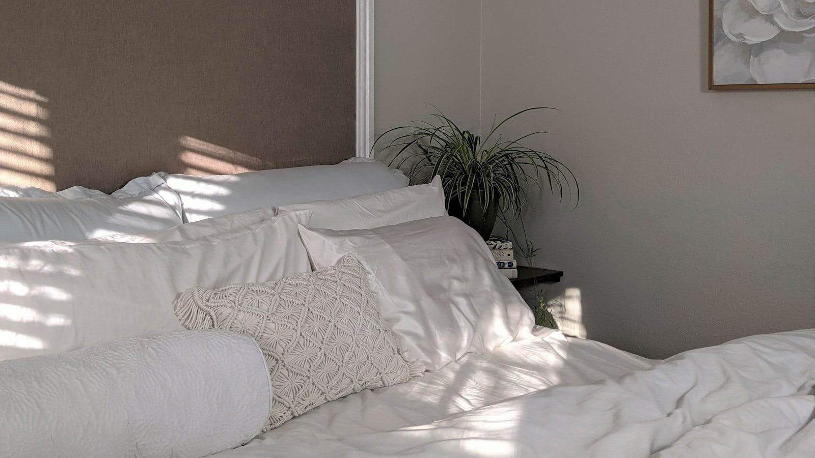 A made bed in soft daylight beside a green plant