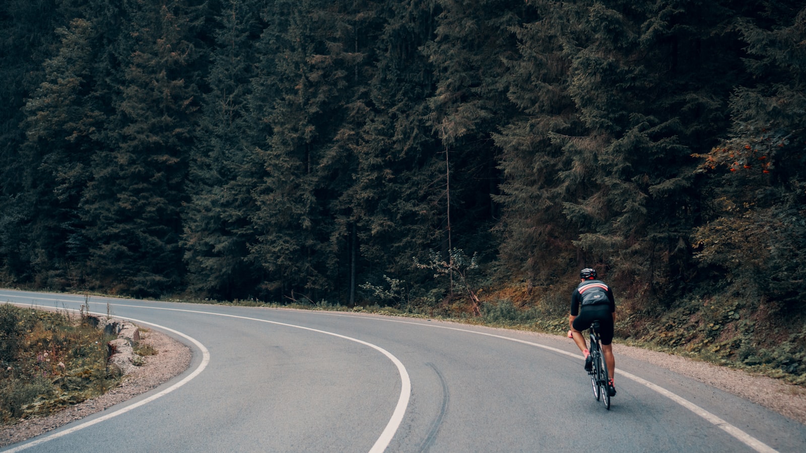 A road cyclist riding a curving road through dense forest (photo: Viktor Bystrov / Unsplash)