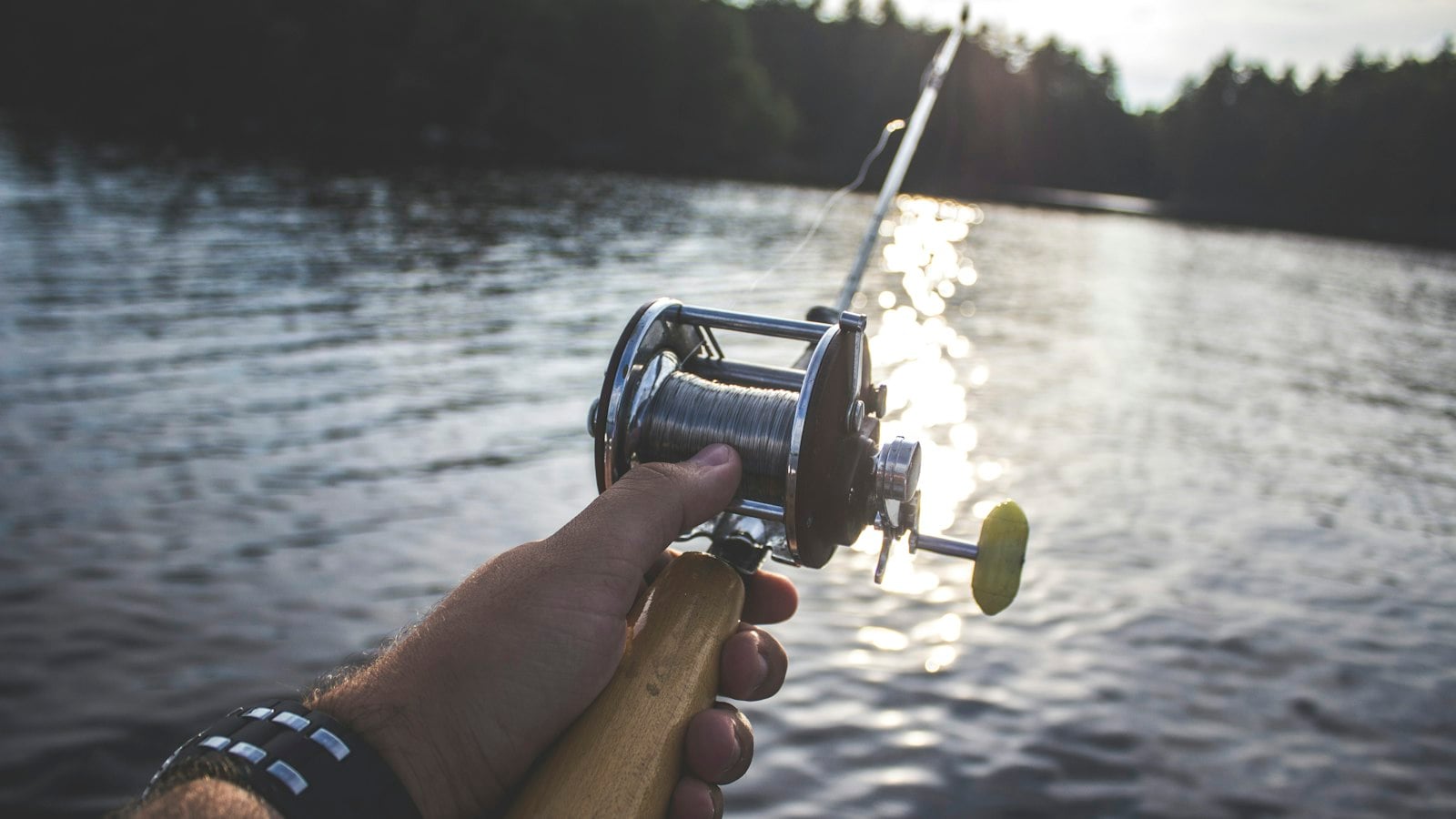 Angler casting with a reel over a lake (photo: Brady Rogers / Unsplash)