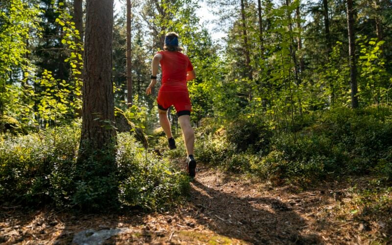 Runner on a forest trail (photo: Hendrik Morkel / Unsplash)