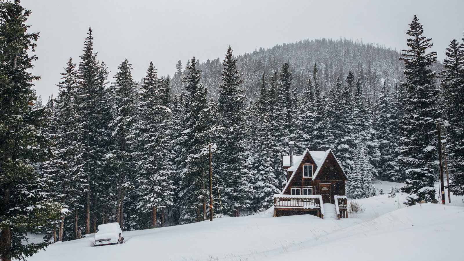 A wooden cabin among snow-covered pine trees (photo: Greg Althoff / Unsplash)